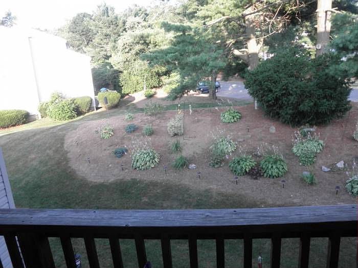 View from the Balcony