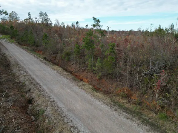 10 Martin Rd, Adamsville, TN 38310