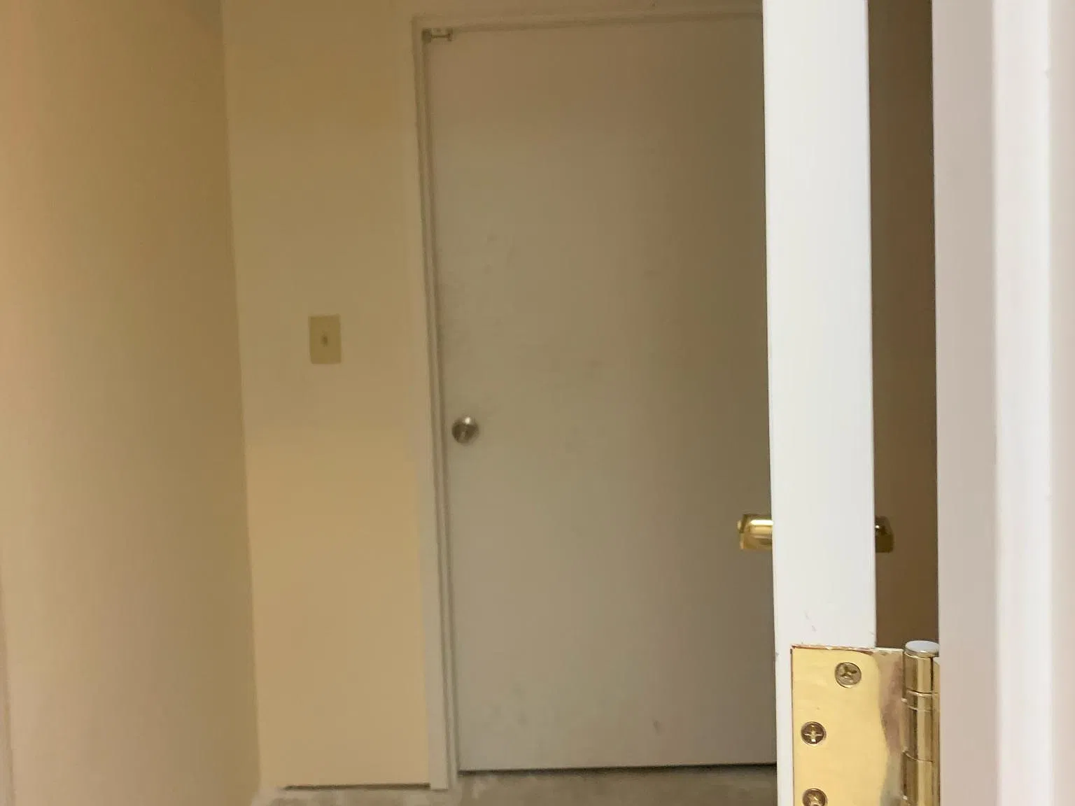 Studio, 800 sqft, $1,200 — Photo 4