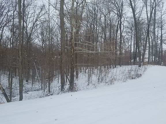 5th image of 8901 N Waterford Dr