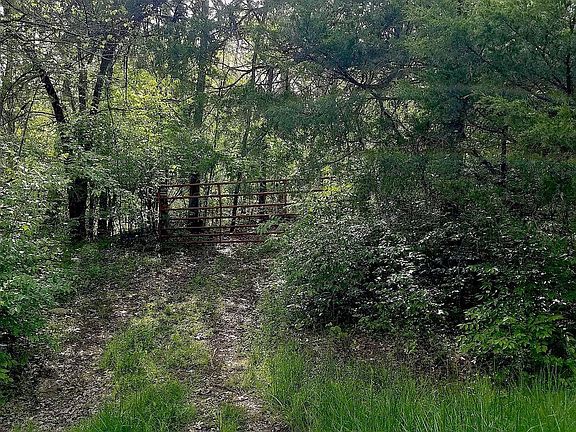 2nd image of 9510 Rockycreek Ln