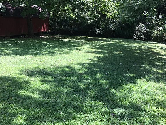 Huge back yard in a park like setting. Fire pit included.