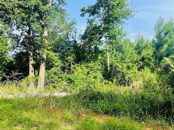 5th image of 1 Bracewell Cemetary Rd