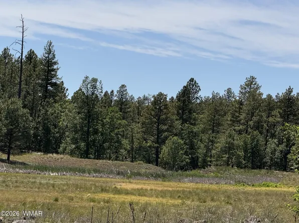 0 S Sweetwater Rnch, Pinetop, AZ 85935