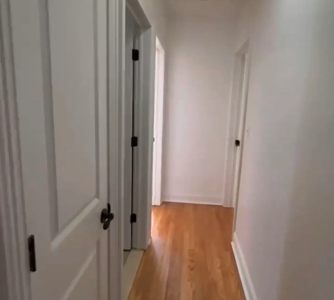 2 bed, 900 sqft, $2,600 — Photo 3