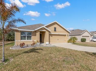 11906 Little Violet Dr, Riverview, FL 33578