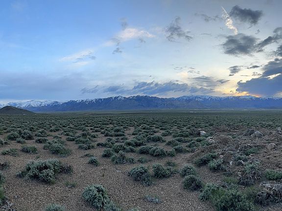 4th image of 4600 Risue Rd