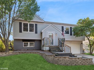 1216 Pinetree Ln, Bartlett, IL, 60103