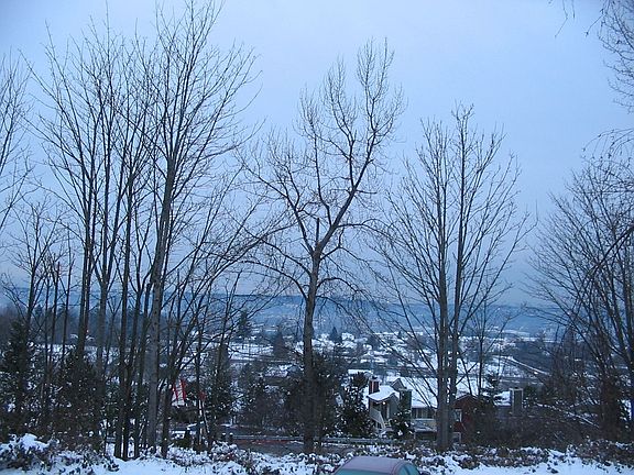 winter view
