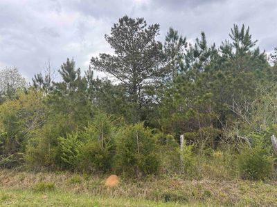 0 Eula Rd #1, Saltillo, TN, 38370