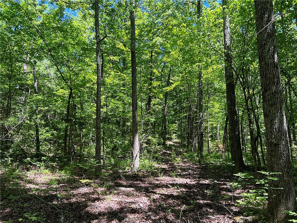 1st image of Terrapin Rd