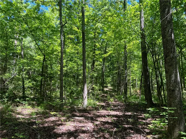 Terrapin Rd, Harrison, AR 72601