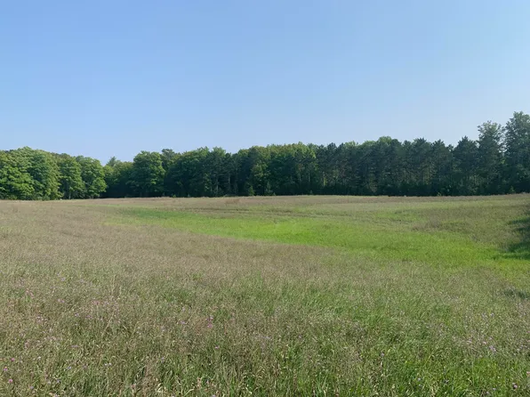 2973 N Weaver Rd, Fairview, MI 48621