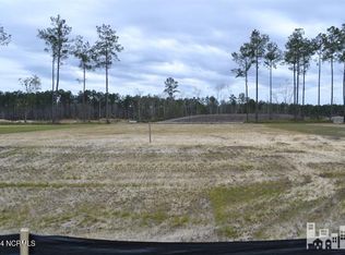 4389 Fantail Dr, Leland, NC 28451