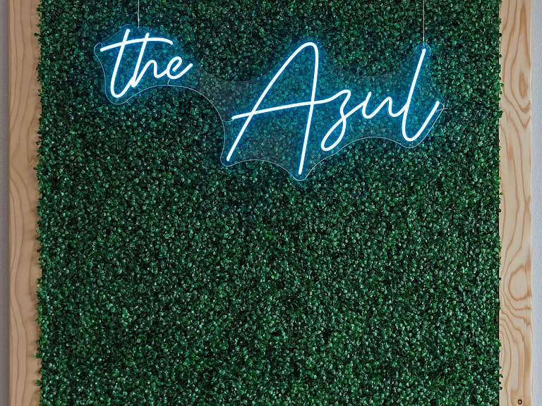 The Azul — Photo 5
