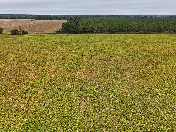 4th image of SW Cherokee Rd