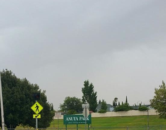 3rd image of 2445 Willow Pass Road