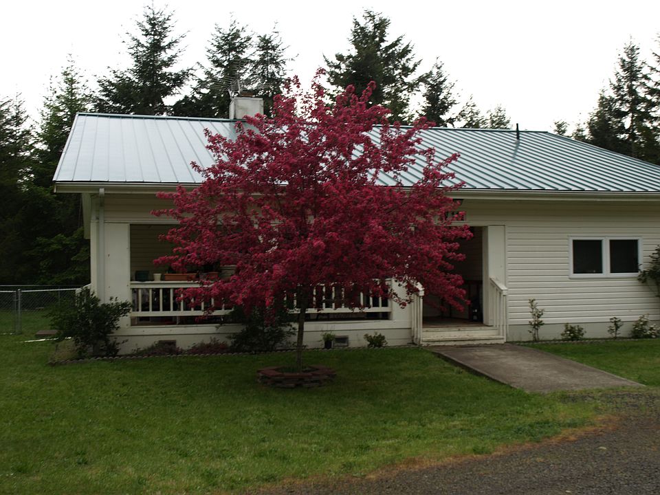 1st image of 111 W Palomino Pl