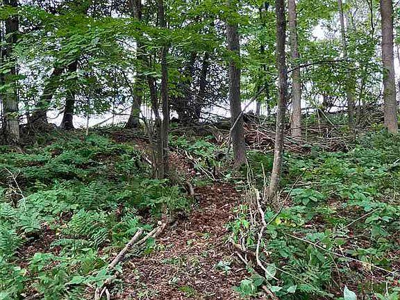5th image of 0 Island Wood Rd Lot 463
