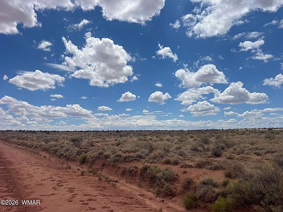 4th image of 8357 Terry Trl