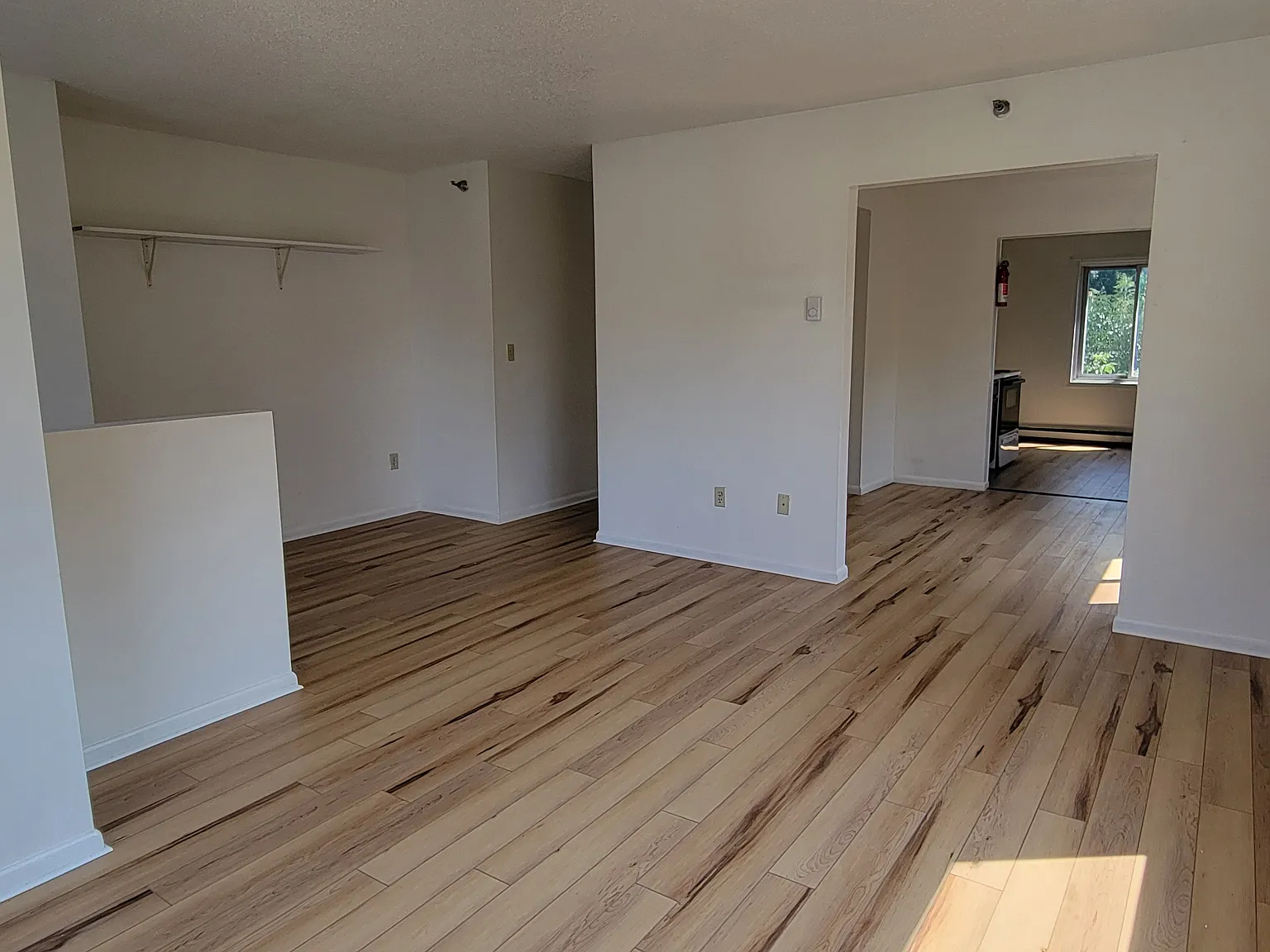 3 bed, 1250 sqft, $3,100 — Photo 3
