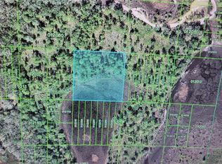 0 River Ranch Blvd, Lake Wells, FL 33853