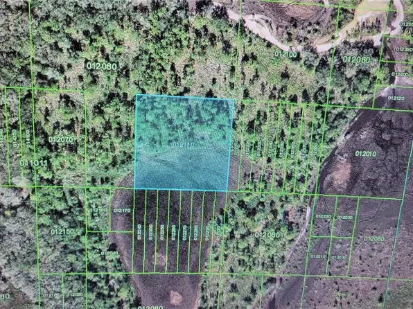 0 River Ranch Blvd, Lake Wells, FL 33853