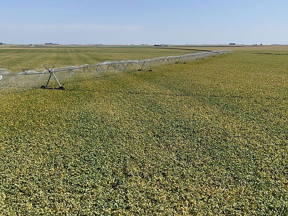 18601_york-county-ne-199-acres (8)