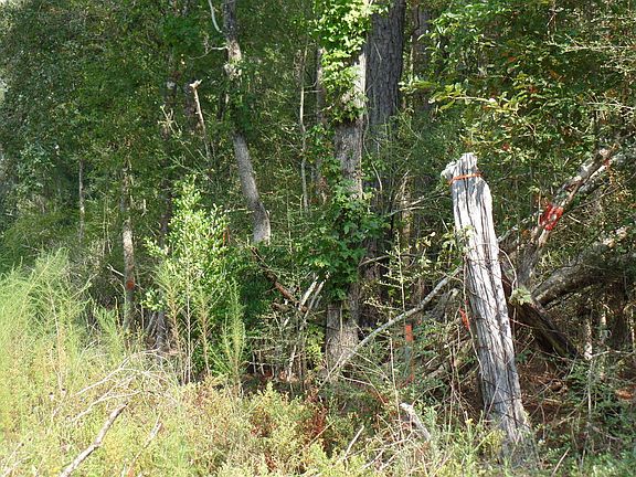 5th image of 415 County Road 580