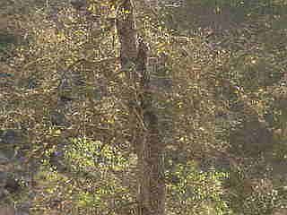 1st image of 4604 Heney Ct