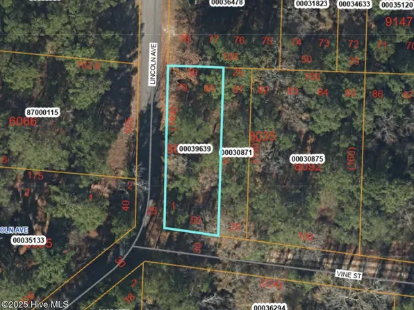 Tbd Lincoln Avenue, Vass, NC 28394