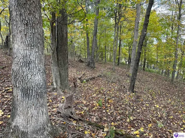 LOT-18A Tules Creek Rd, Hardinsburg, KY 40143