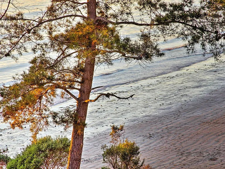 Window View