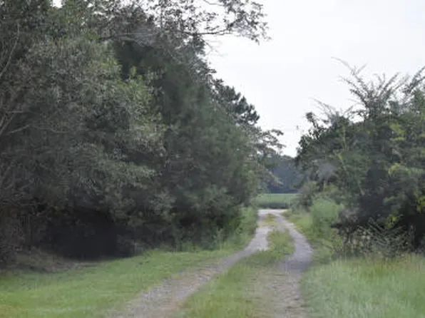 0 Lilac Ln, Nesmith, SC 29580