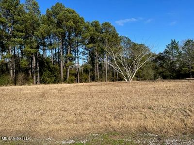 Southern Hills Dr, Lucedale, MS, 39452