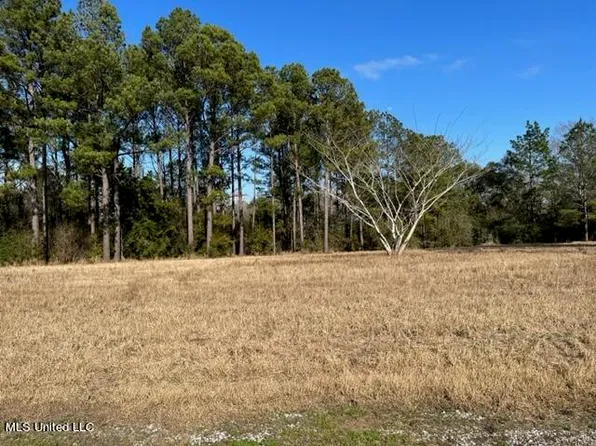 Southern Hills Dr, Lucedale, MS 39452