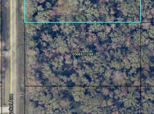 10600 Stycket Ave, Hastings, FL 32145