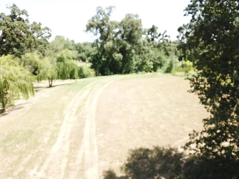 1308 Trails Way photo 1