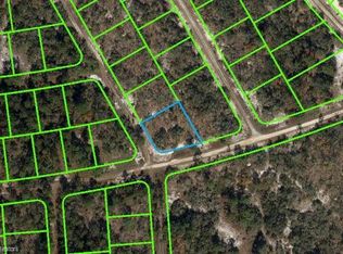 380 Eleanor Blvd, Lake Placid, FL 33852