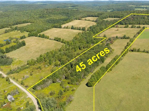 8 Warren Rd, Delhi, NY 13753