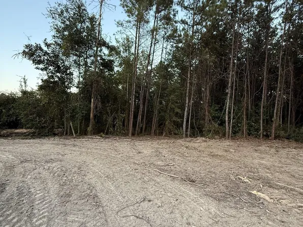 17273 Jack Allen Rd, Livingston, LA 70754