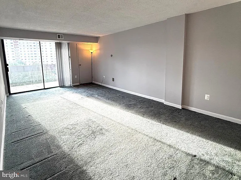 5300 Holmes Run Pkwy #819 — Photo 7