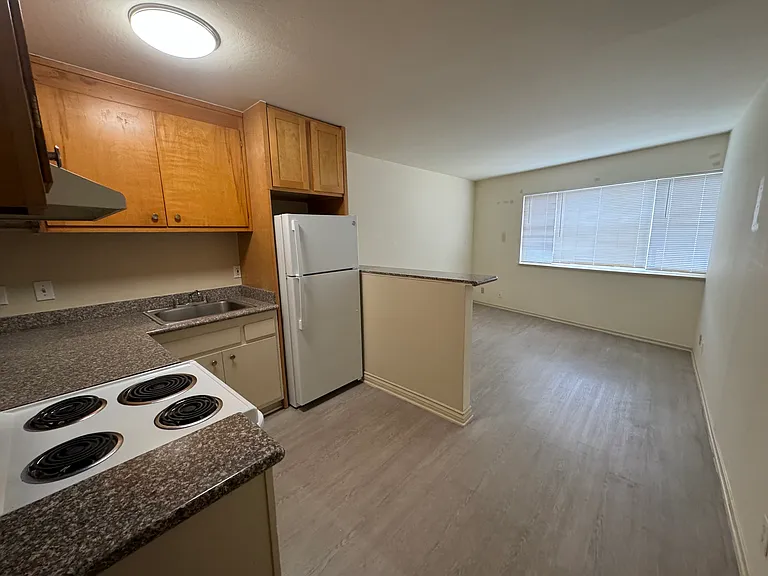 Kitchen and living room of #6