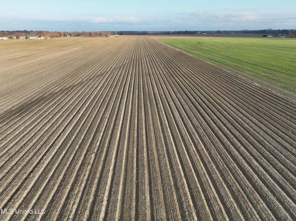 Bass Rd, Louise, MS 39097