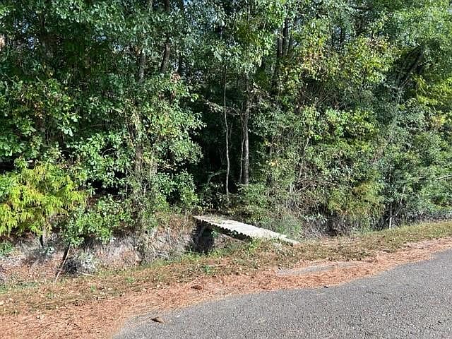 2nd image of Bunny Ln