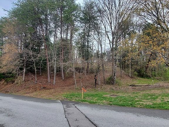 3rd image of 0 Loraine St Lot 23