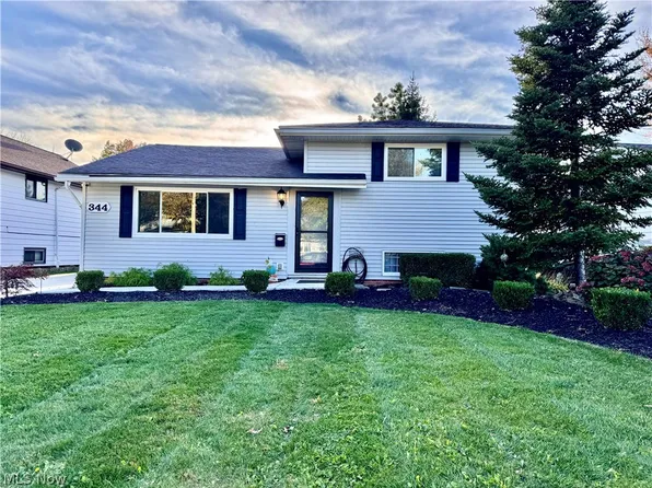 344 E 315th St, Willowick, OH 44095