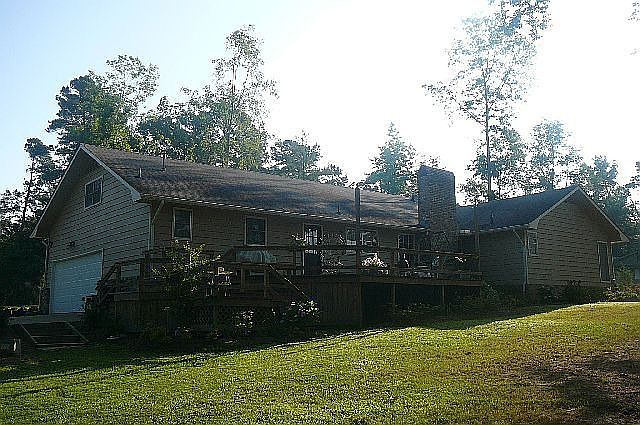 Back view