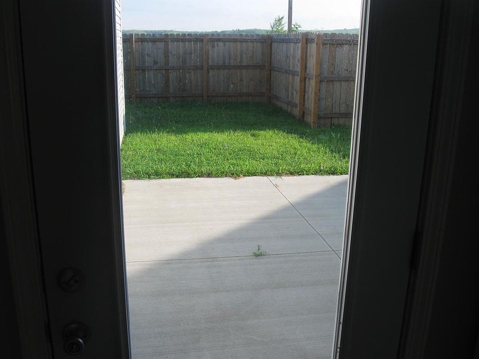 Looking out back door