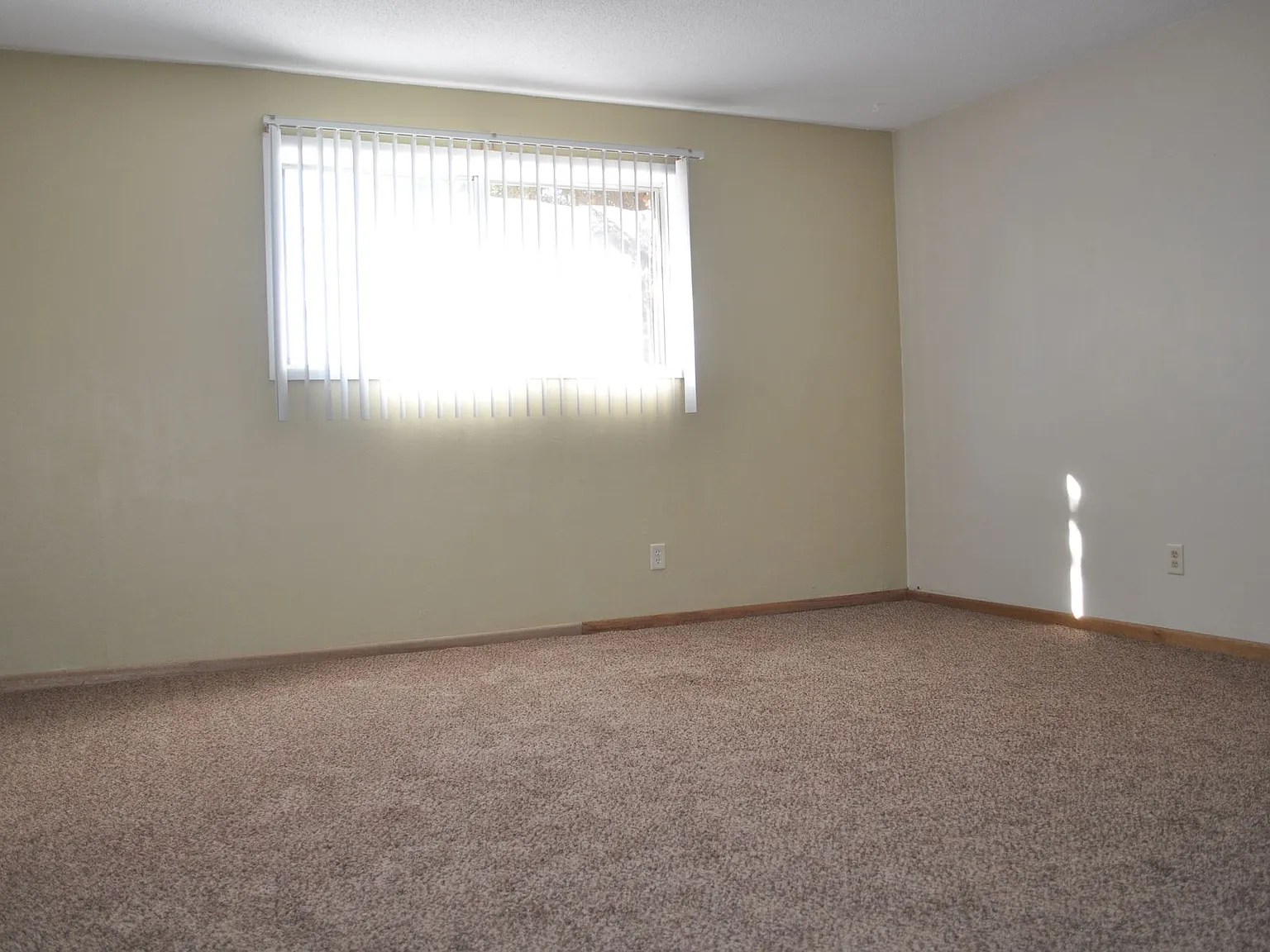 2103 Clarkview — Photo 4